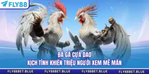 Đá Gà Cựa Dao - Kịch Tính Khiến Triệu Người Xem Mê Mẩn